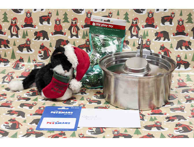 SANTA NEVER FORGETS THE CAT! WITH GIFT CARD