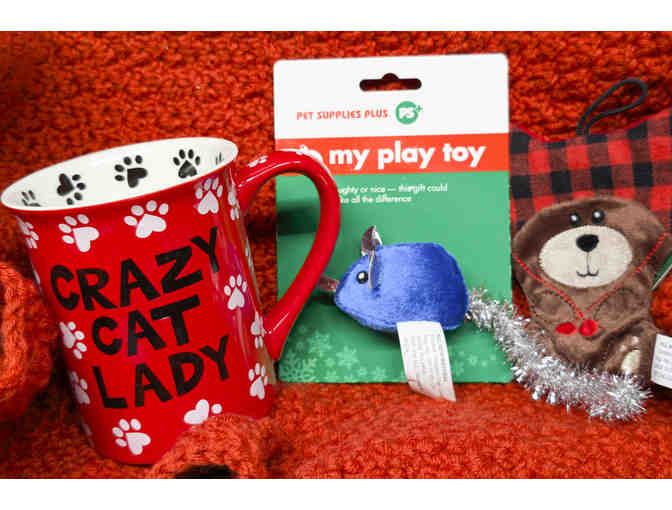 CRAZY CHRISTMAS CAT PACKAGE