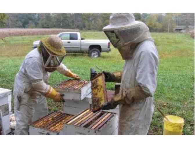 Farm Tour for 20 at Hunter's Honey - Martinsville