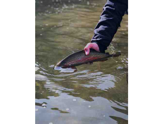 Half Day Guided Fly Fishing Trip with Colorado's Premier Guide Shop - Arbor Anglers