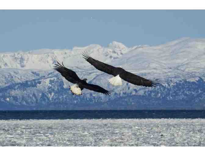 Alaska's Magic Frontier-Cruise Aboard Royal Caribbean International to Alaska for 7Ni - Photo 3
