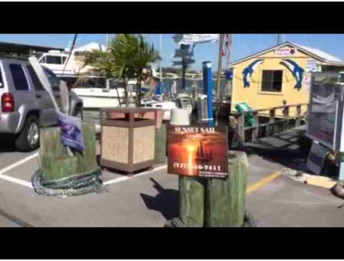 Four (4) passes for Dolphin Watch or Sunset Sail at Dolphin Landings, St. Petersburg, FL