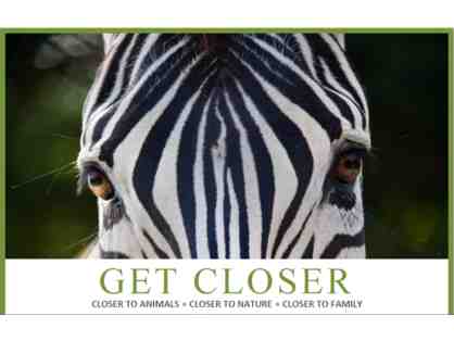 A Behind the Scenes VIP Tour of Naples Zoo at Caribbean Gardens