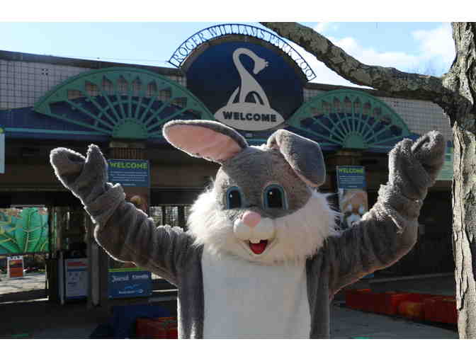 Visit with the Easter Bunny at Roger Williams Park Zoo