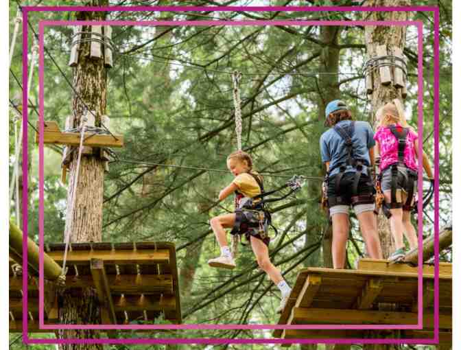Ropes and Obstacle Courses for Two at TreeTop Adventures - Photo 1