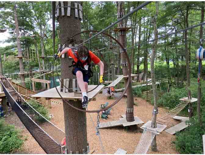 Ropes and Obstacle Courses for Two at TreeTop Adventures - Photo 2