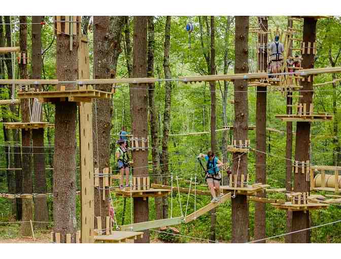 Ropes and Obstacle Courses for Two at TreeTop Adventures - Photo 3