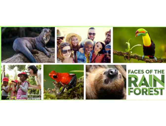 A Behind the Scenes VIP Tour of the Faces of the Rainforest Exhibit - Photo 6