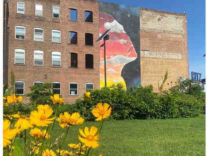 Support Park Stewardship and Beautification!