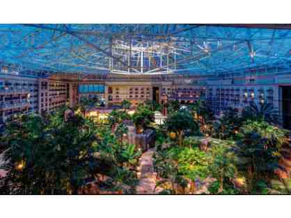 Gaylord Palms Resort 2 Night Stay