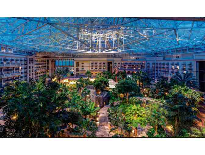 Gaylord Palms Resort 2 Night Stay - Photo 1