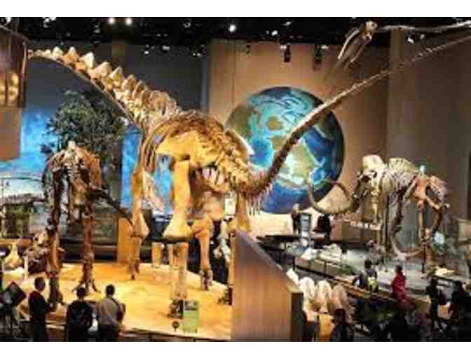 Perot Museum Membership for 5