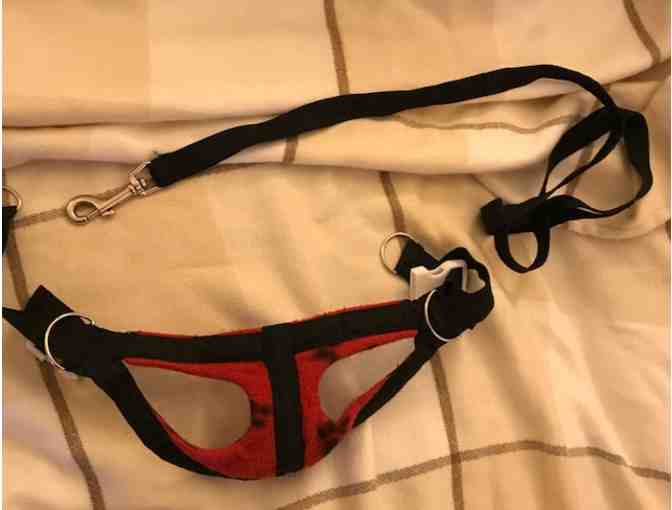 Handmade small dog harness and leash