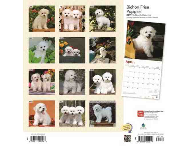Bichon Puppies Wall Calendar 2019