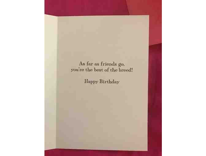 Bichon Birthday Card from Hallmark