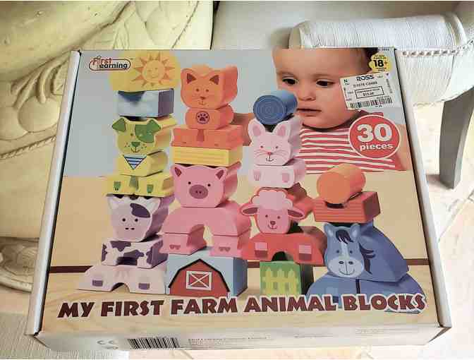 Baby's First Animal Blocks