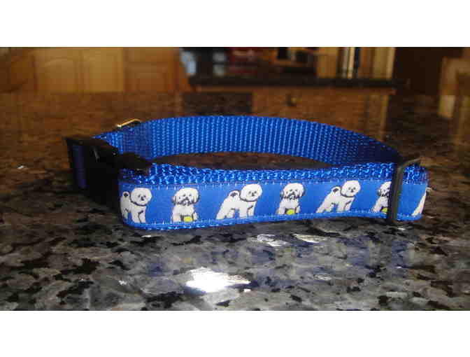 Blue Bichon Collar