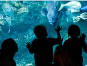 Behind the Scenes Tour at New England Aquarium for 10 People