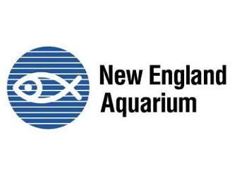 Behind the Scenes Tour at New England Aquarium for 10 People