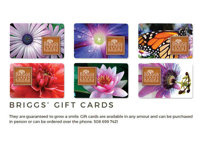 Briggs Garden & Home--$30 Gift Card