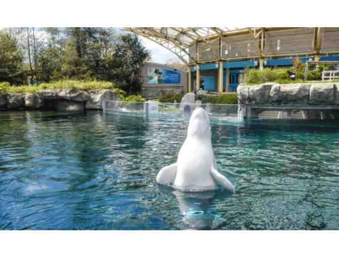 2 Tickets to Mystic Aquarium - Photo 2