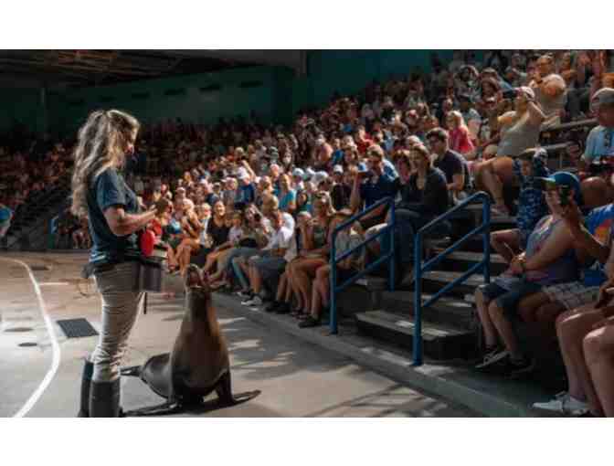 2 Tickets to Mystic Aquarium - Photo 3