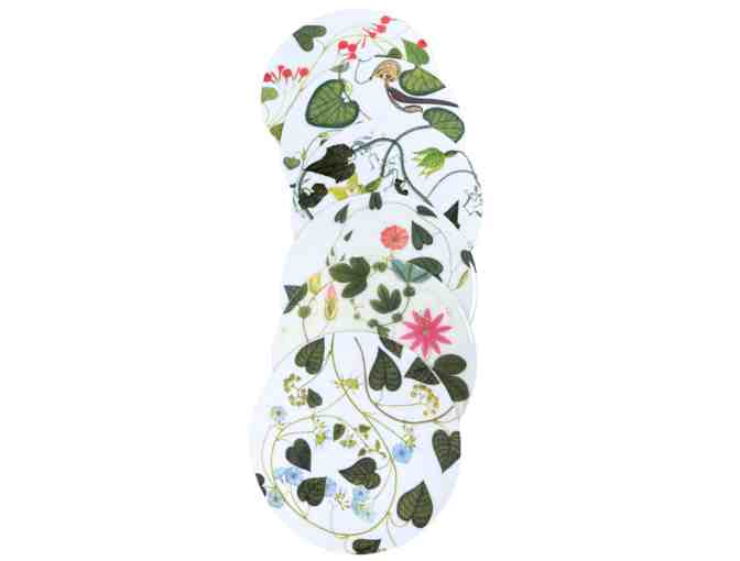 Set of 6 Climbing Plant Placemats