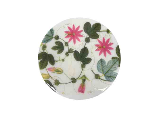 Set of 6 Climbing Plant Placemats