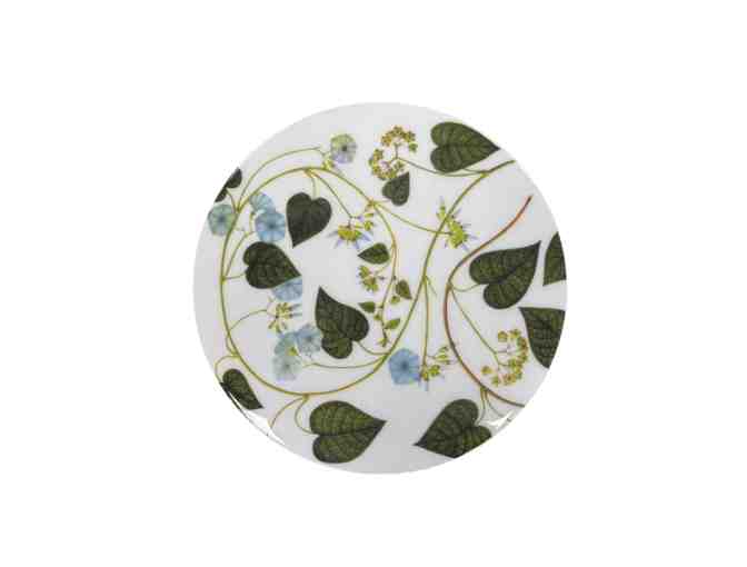 Set of 6 Climbing Plant Placemats
