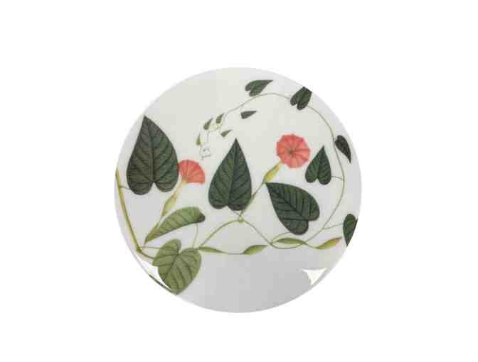 Set of 6 Climbing Plant Placemats