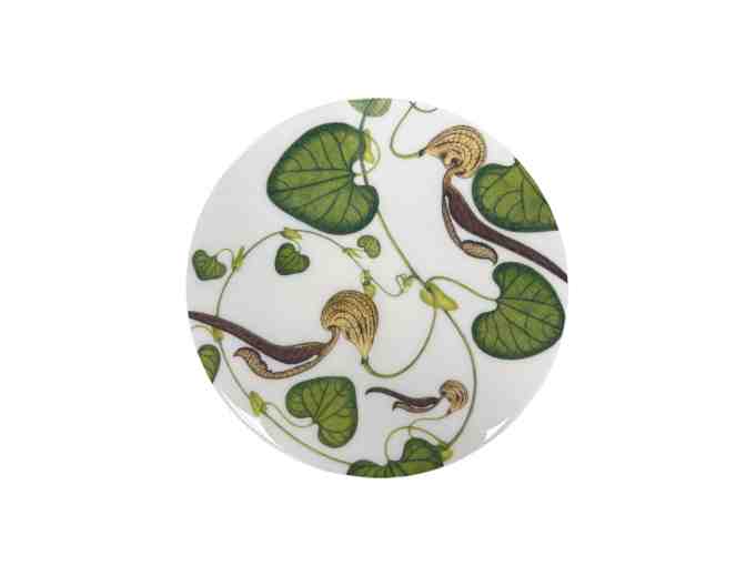 Set of 6 Climbing Plant Placemats