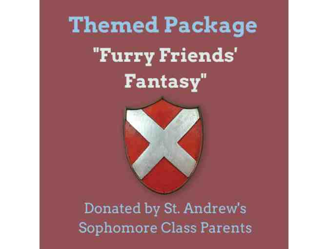 'Furry Friends' Fantasy' Basket (St. Andrew's Sophomore Class Basket)