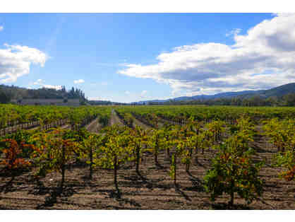California Duet and Wine Tour, San Francisco and Sonoma