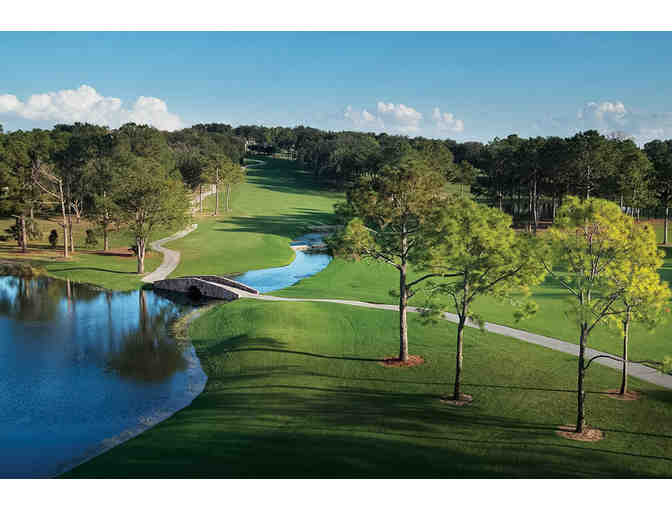 Central Florida's Premier Golf Resort# 4 Days for 2 plus golf rounds+More - Photo 1