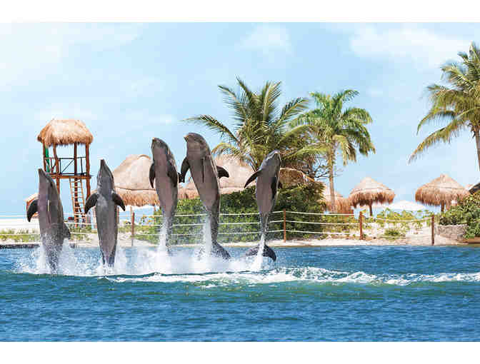 All-Inclusive Family Fiesta (Cancun) #5 Days for two adults and two children at Hyatt - Photo 4