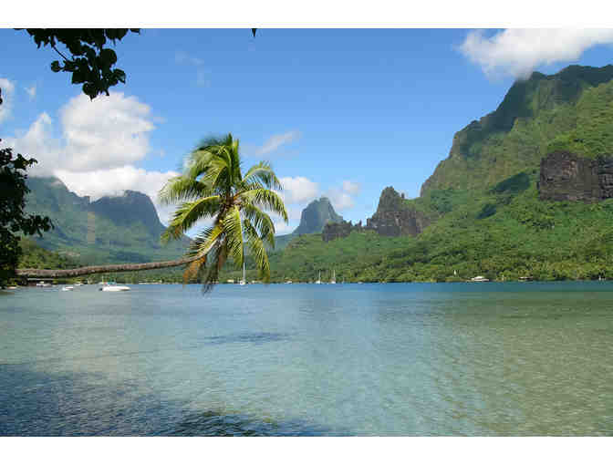 Idyllic Ideals in French Polynesian Paradise - Photo 6