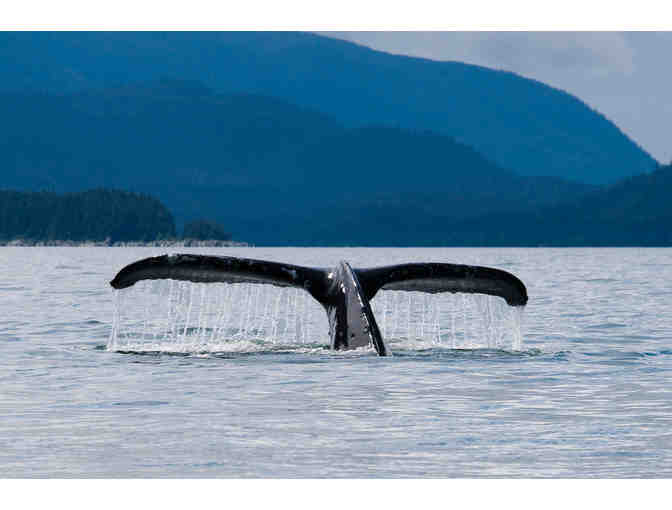 Alaska's Majestic Frontier, Alaska&gt;Cruise for two for seven nights Veranda Stateroom+tax+t - Photo 9