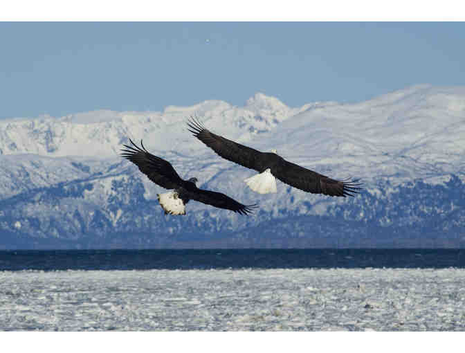 Alaska's Majestic Frontier, Alaska&gt;Cruise for two for seven nights Veranda Stateroom+tax+t - Photo 6