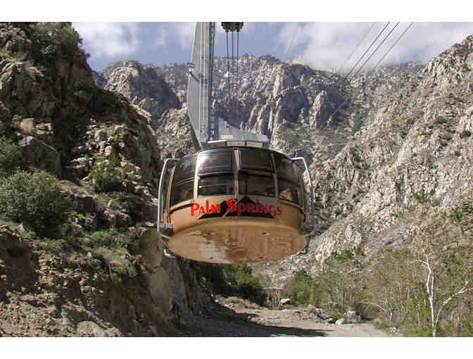 Cosmopolitan Desert Playground, Palm Springs3 Days+taxes+Tramway+ Concierge - Photo 1