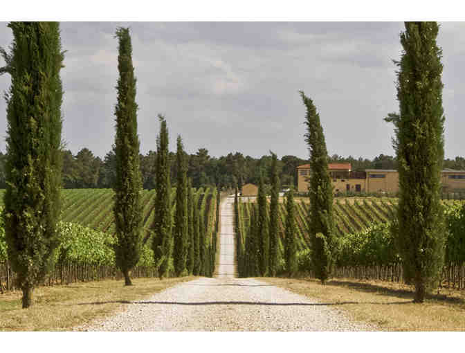 Buon Appetito in Tuscany, Cortona(Italy)>6Days Loft Apartment for 4 ppl+cooking class