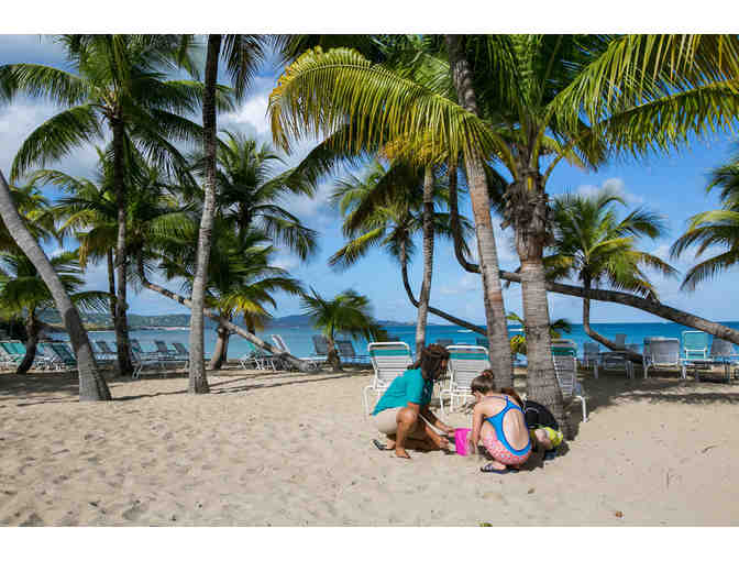 Natural Playground in the U.S. Virgin Islands (St. Croix) *5 Days for family of 4 + more