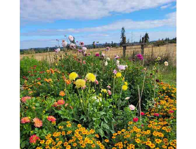 Two-night stay for 2 adults at Alpaca Farm Retreat in Aumsville, Oregon