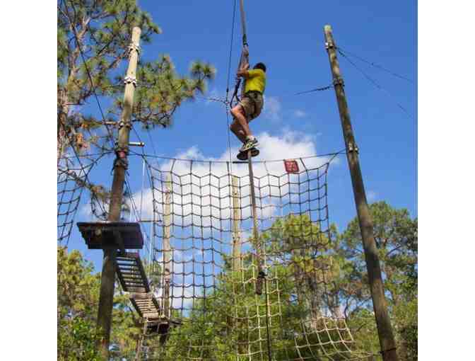 TreeUmph! Adventure Course Tickets