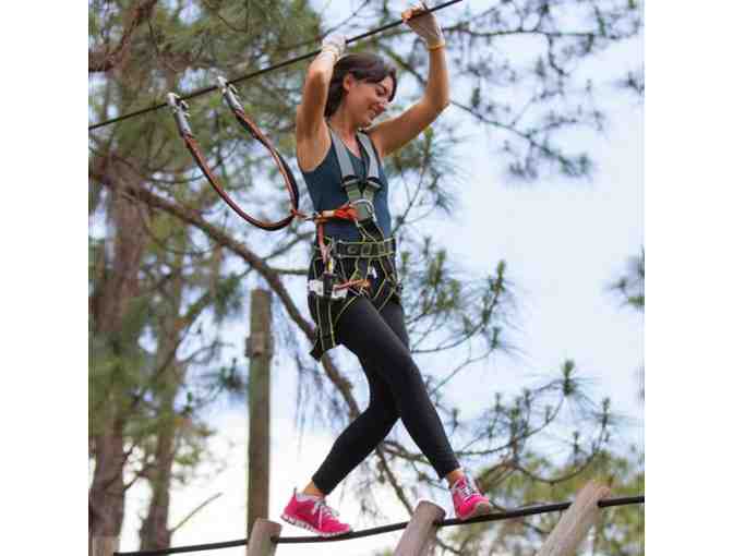 TreeUmph! Adventure Course Tickets