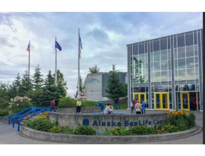 Alaska Sealife Center - Seward, AK