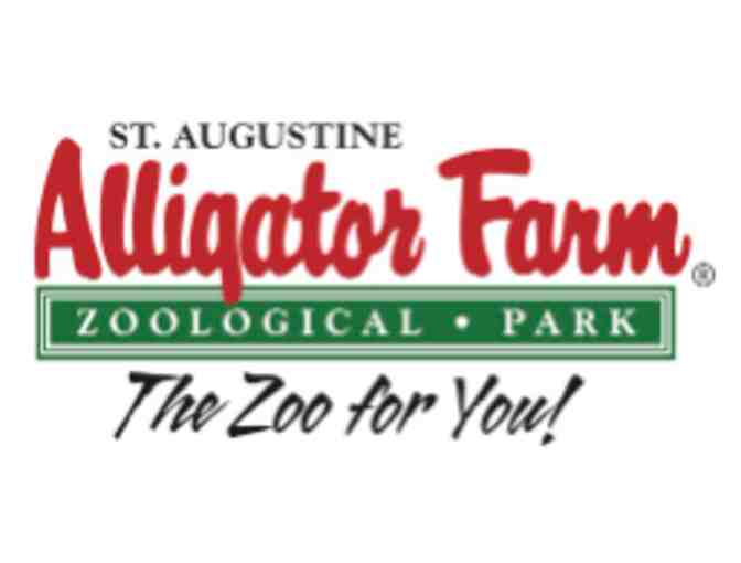 St. Augustine Alligator Farm Zoological Park - Saint Augustine, FL