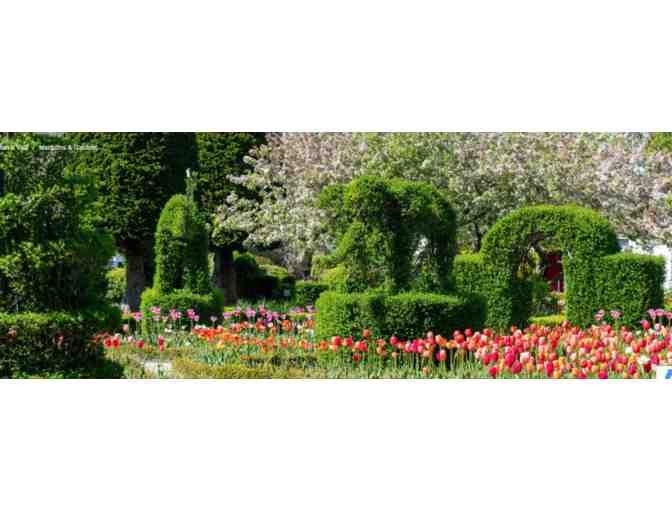 Newport Mansions - Newport, RI