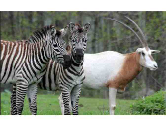 Southwick's Zoo - Mendon, MA