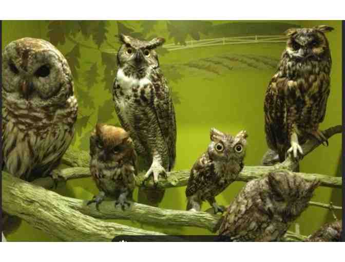 PA State Museum - Harrisburg, PA