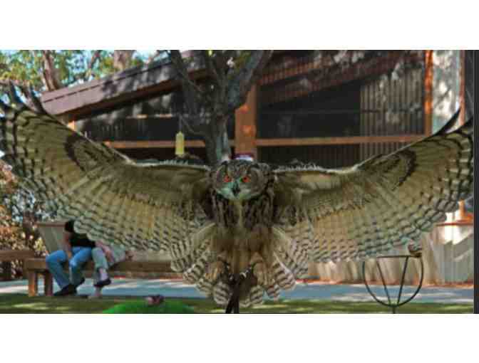 World Center for Birds of Prey - Boise, ID